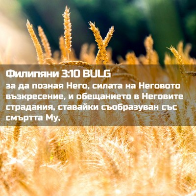 Picture 02 - Филипяни 3:10 BULG - за да позная Него, силата - Bible Verse Picture