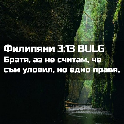 Picture 02 - Филипяни 3:13 BULG - Братя, аз не считам, че съм - Bible Verse Picture