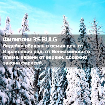 Picture 02 - Филипяни 3:5 BULG - бидейки обрязан в осмия - Bible Verse Picture