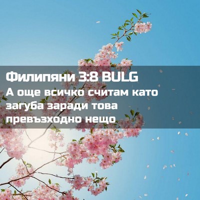 Picture 02 - Филипяни 3:8 BULG - А още всичко считам като - Bible Verse Picture