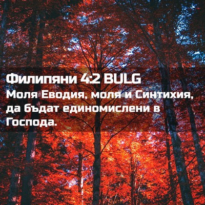 Picture 02 - Филипяни 4:2 BULG - Моля Еводия, моля и - Bible Verse Picture