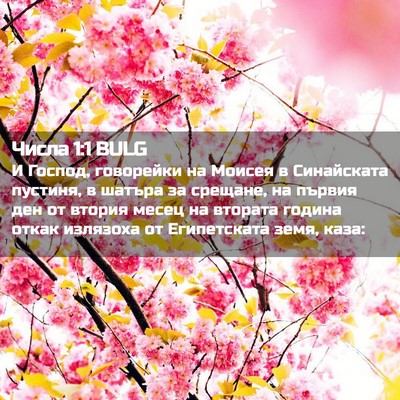 Picture 02 - Числа 1:1 BULG - И Господ, говорейки на - Bible Verse Picture
