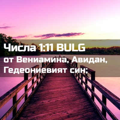 Picture 02 - Числа 1:11 BULG - от Вениамина, Авидан, - Bible Verse Picture