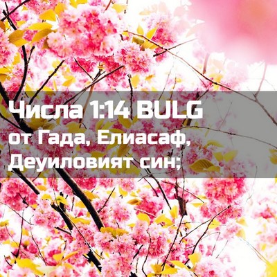 Picture 02 - Числа 1:14 BULG - от Гада, Елиасаф, - Bible Verse Picture