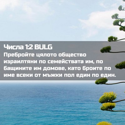 Picture 02 - Числа 1:2 BULG - Пребройте цялото общество - Bible Verse Picture