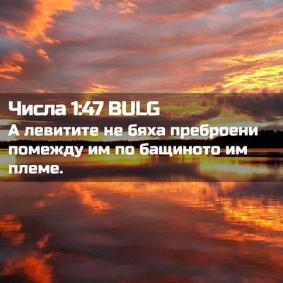 Picture 02 - Числа 1:47 BULG - А левитите не бяха - Bible Verse Picture