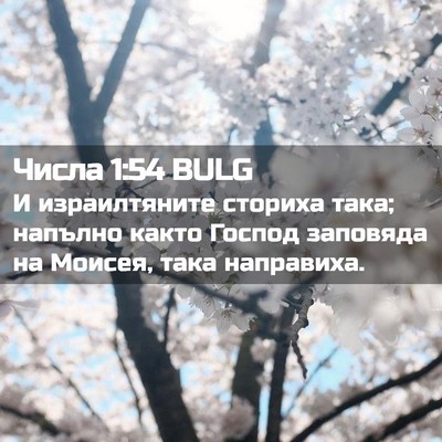 Picture 02 - Числа 1:54 BULG - И израилтяните сториха - Bible Verse Picture