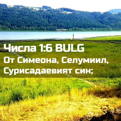 Picture 02 - Числа 1:6 BULG - От Симеона, Селумиил, - Bible Verse Picture