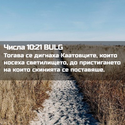 Picture 02 - Числа 10:21 BULG - Тогава се дигнаха - Bible Verse Picture