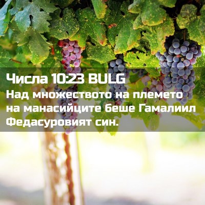 Picture 02 - Числа 10:23 BULG - Над множеството на племето - Bible Verse Picture