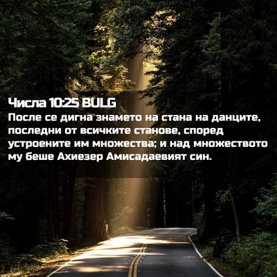 Picture 02 - Числа 10:25 BULG - После се дигна знамето на - Bible Verse Picture