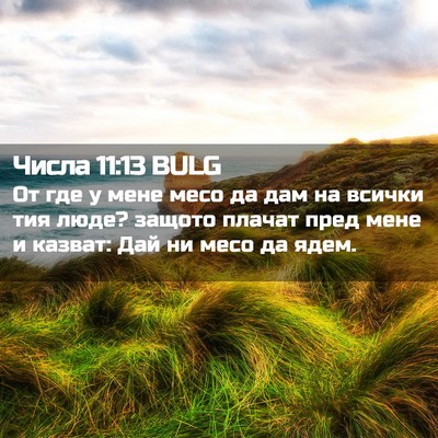 Picture 02 - Числа 11:13 BULG - От где у мене месо да дам на - Bible Verse Picture