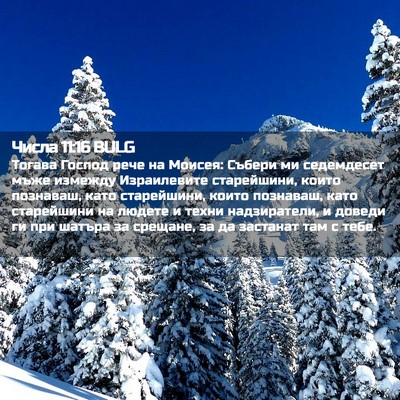 Picture 02 - Числа 11:16 BULG - Тогава Господ рече на - Bible Verse Picture