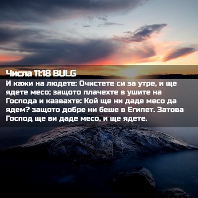 Picture 02 - Числа 11:18 BULG - И кажи на людете: Очистете - Bible Verse Picture