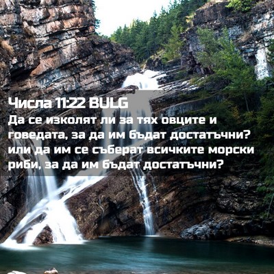 Picture 02 - Числа 11:22 BULG - Да се изколят ли за тях - Bible Verse Picture