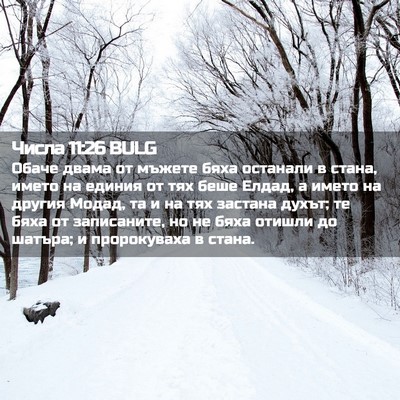 Picture 02 - Числа 11:26 BULG - Обаче двама от мъжете бяха - Bible Verse Picture