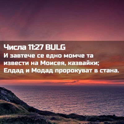 Picture 02 - Числа 11:27 BULG - И завтече се едно момче та - Bible Verse Picture