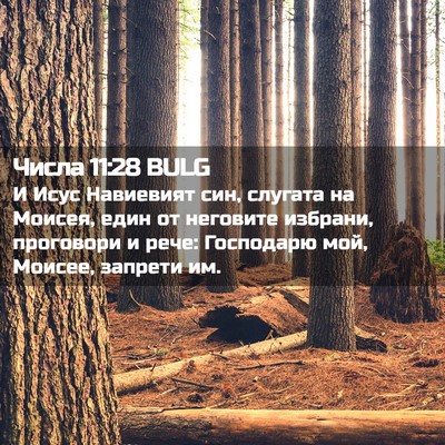 Picture 02 - Числа 11:28 BULG - И Исус Навиевият син, - Bible Verse Picture