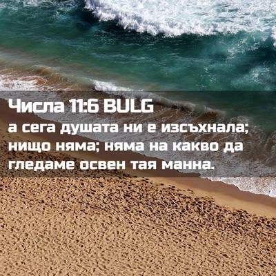 Picture 02 - Числа 11:6 BULG - а сега душата ни е - Bible Verse Picture