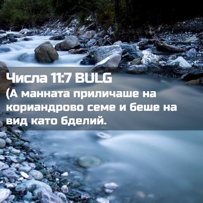 Picture 02 - Числа 11:7 BULG - (А манната приличаше на - Bible Verse Picture