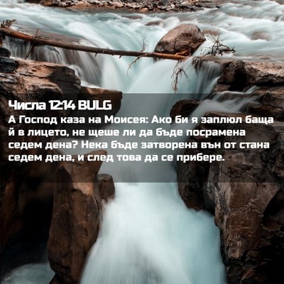 Picture 02 - Числа 12:14 BULG - А Господ каза на Моисея: - Bible Verse Picture