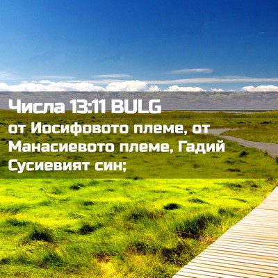 Picture 02 - Числа 13:11 BULG - от Иосифовото племе, от - Bible Verse Picture