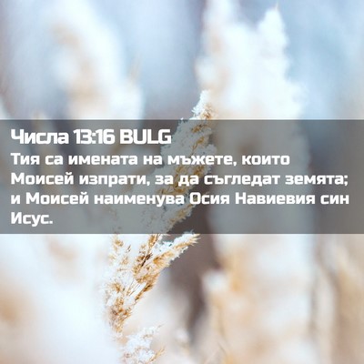Picture 02 - Числа 13:16 BULG - Тия са имената на мъжете, - Bible Verse Picture