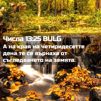 Picture 02 - Числа 13:25 BULG - А на края на четиридесетте - Bible Verse Picture