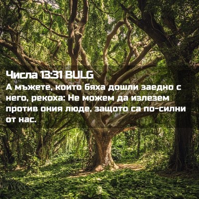 Picture 02 - Числа 13:31 BULG - А мъжете, които бяха дошли - Bible Verse Picture