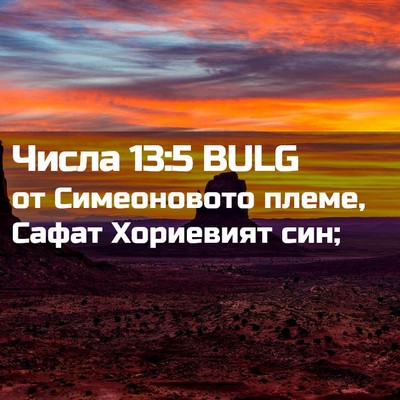 Picture 02 - Числа 13:5 BULG - от Симеоновото племе, - Bible Verse Picture