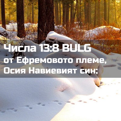 Picture 02 - Числа 13:8 BULG - от Ефремовото племе, Осия - Bible Verse Picture