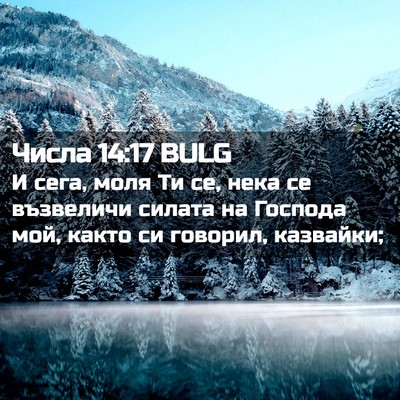 Picture 02 - Числа 14:17 BULG - И сега, моля Ти се, нека се - Bible Verse Picture