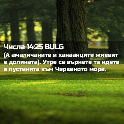 Picture 02 - Числа 14:25 BULG - (А амаличаните и - Bible Verse Picture