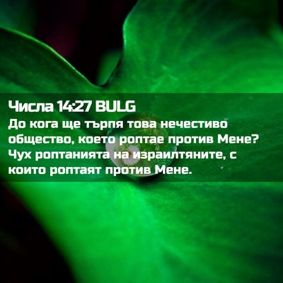 Picture 02 - Числа 14:27 BULG - До кога ще търпя това - Bible Verse Picture