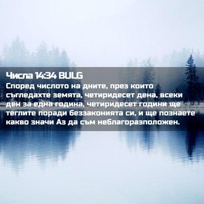 Picture 02 - Числа 14:34 BULG - Според числото на дните, - Bible Verse Picture