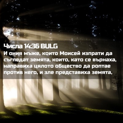 Picture 02 - Числа 14:36 BULG - И ония мъже, които Моисей - Bible Verse Picture