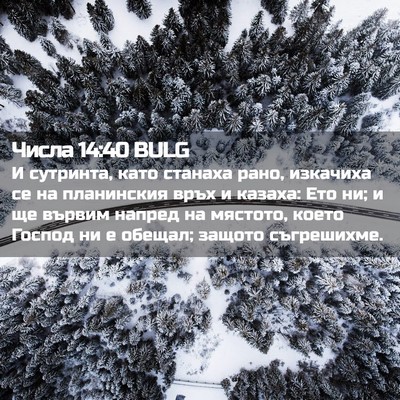 Picture 02 - Числа 14:40 BULG - И сутринта, като станаха - Bible Verse Picture