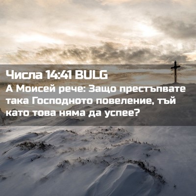 Picture 02 - Числа 14:41 BULG - А Моисей рече: Защо - Bible Verse Picture