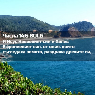 Picture 02 - Числа 14:6 BULG - И Исус Навиевият син и - Bible Verse Picture