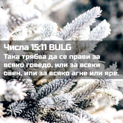 Picture 02 - Числа 15:11 BULG - Така трябва да се прави за - Bible Verse Picture