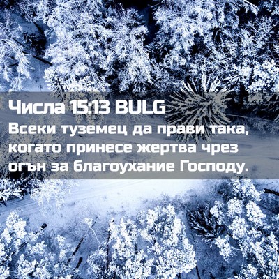 Picture 02 - Числа 15:13 BULG - Всеки туземец да прави - Bible Verse Picture