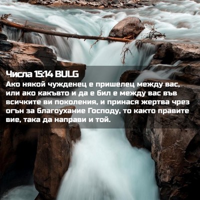 Picture 02 - Числа 15:14 BULG - Ако някой чужденец е - Bible Verse Picture