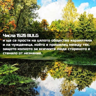 Picture 02 - Числа 15:26 BULG - и ще се прости на цялото - Bible Verse Picture