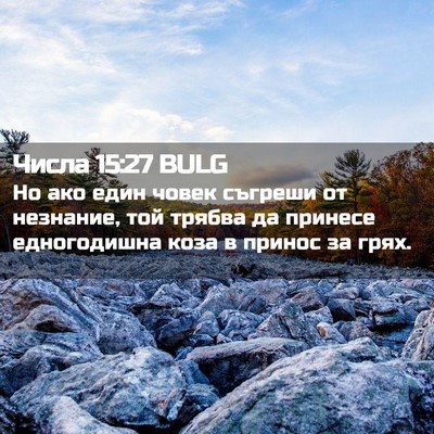 Picture 02 - Числа 15:27 BULG - Но ако един човек съгреши - Bible Verse Picture
