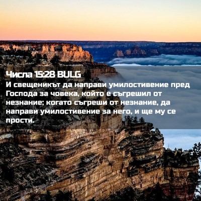 Picture 02 - Числа 15:28 BULG - И свещеникът да направи - Bible Verse Picture