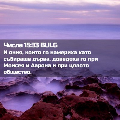 Picture 02 - Числа 15:33 BULG - И ония, които го намериха - Bible Verse Picture