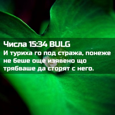 Picture 02 - Числа 15:34 BULG - И туриха го под стража, - Bible Verse Picture