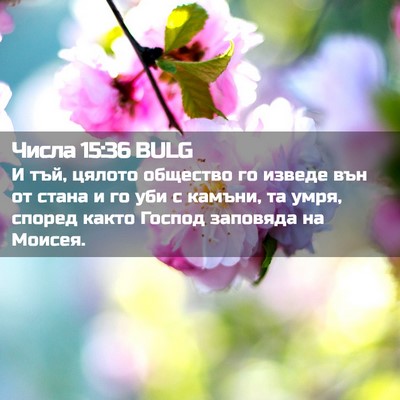 Picture 02 - Числа 15:36 BULG - И тъй, цялото общество го - Bible Verse Picture