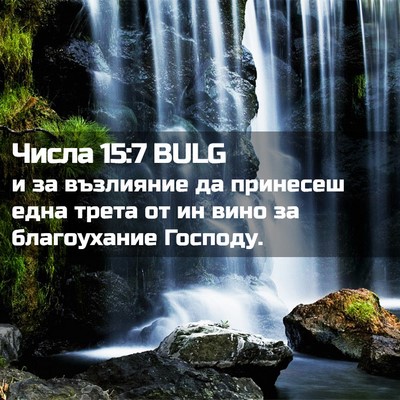 Picture 02 - Числа 15:7 BULG - и за възлияние да принесеш - Bible Verse Picture
