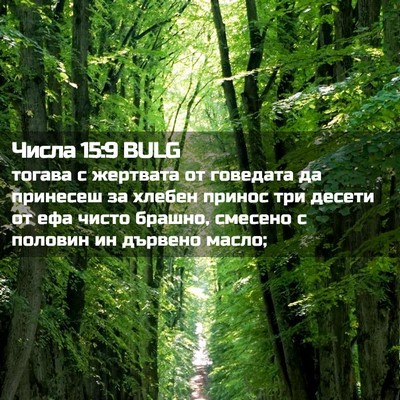 Picture 02 - Числа 15:9 BULG - тогава с жертвата от - Bible Verse Picture
